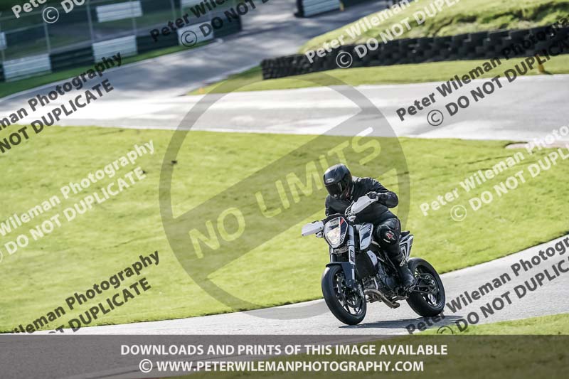 cadwell no limits trackday;cadwell park;cadwell park photographs;cadwell trackday photographs;enduro digital images;event digital images;eventdigitalimages;no limits trackdays;peter wileman photography;racing digital images;snetterton;snetterton no limits trackday;snetterton photographs;snetterton trackday photographs;trackday digital images;trackday photos
